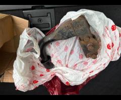 BMW X5 This 2011 BMW X5 30d M Sport presents a compelling proposition with its remarkably low mileag - 51