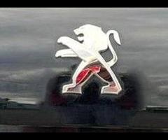 Peugeot 208  2019 PEUGEOT 208 ACTIVE - ULEZ FREE & SUPER ECO! 

 ULEZ COMPLIANT! |  APPLE CARPLA - 49