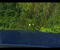 BMW 3 Series 1 FORMER KEEPER|2 KEYS|6 MAIN DEALER SERVICES - ALL AVALIBLE ON i DRIVE|£1490 WORTH OF - 2