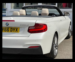 BMW 2 Series 2.0 225d M Sport Convertible 2dr Diesel Auto Euro 6 (s/s) (224 ps) - 11