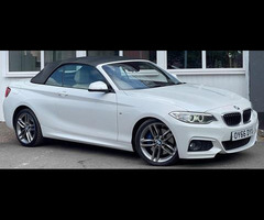 BMW 2 Series 2.0 225d M Sport Convertible 2dr Diesel Auto Euro 6 (s/s) (224 ps) - 32